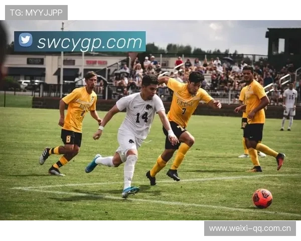 开云体育平台官网入口：多平台访问开云体育官方入口的便捷方式