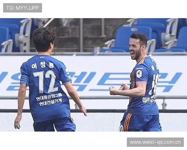 开云体育登录：最新版本更新内容及优化功能全面解析