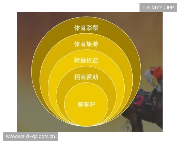 开云官方体育app用户评价与使用技巧，提升你的体育娱乐体验