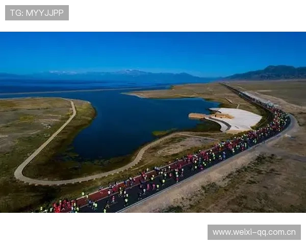 开云体育官方网址官方平台导航，轻松找到最新赛事信息与用户服务入口