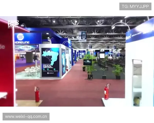 开云网址国际官网入口：探索开云集团旗下品牌的官方入口网址及访问流程