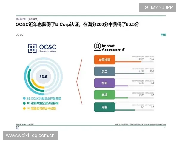 解读开云集团ESG报告中的风险管理策略与未来发展方向建议