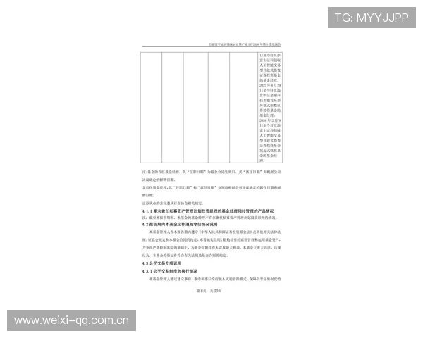 开云集团2026年度财务报告全面解析与投资者关注重点