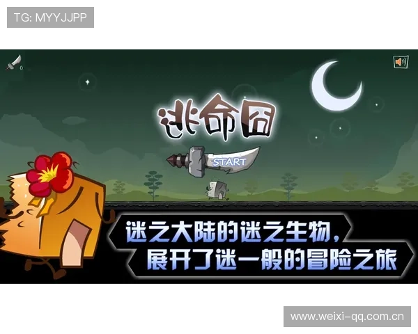 轻松进入开云爱游戏入口，开启你的游戏冒险之旅