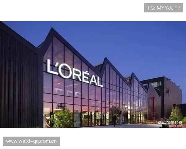 分析开云集团品牌矩阵的核心优势：提升品牌影响力与市场占有率的有效途径