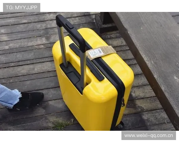 如何选择开云集团著名箱包品牌中的高端产品，满足品质与时尚的双重需求
